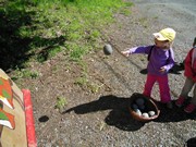 Celodenní výlet na Bezděz title=